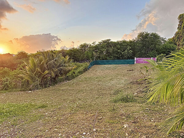 Vente par agence immobiliere à Sainte anne (97180)