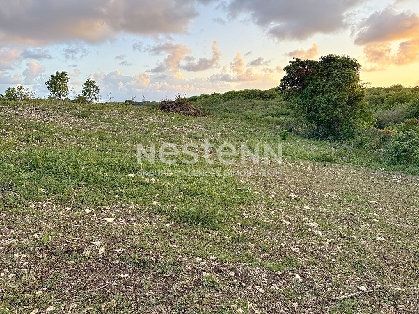 À vendre terrain constructible de 780 m2 à GISSAC SAINTE-ANNE  proche de la plage de Bois Jolan