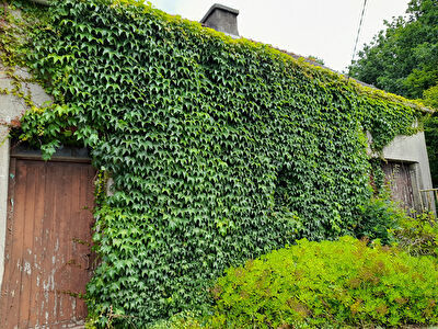 Vente maison à Landevennec (29560)