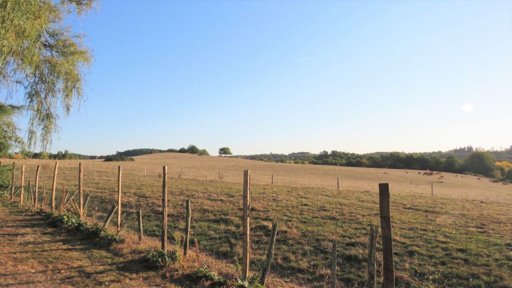 A VENDRE EXCIDEUIL :ISOLEE, AU CALME, JOLIE VUE, AVEC 3HA DE TERRAIN,