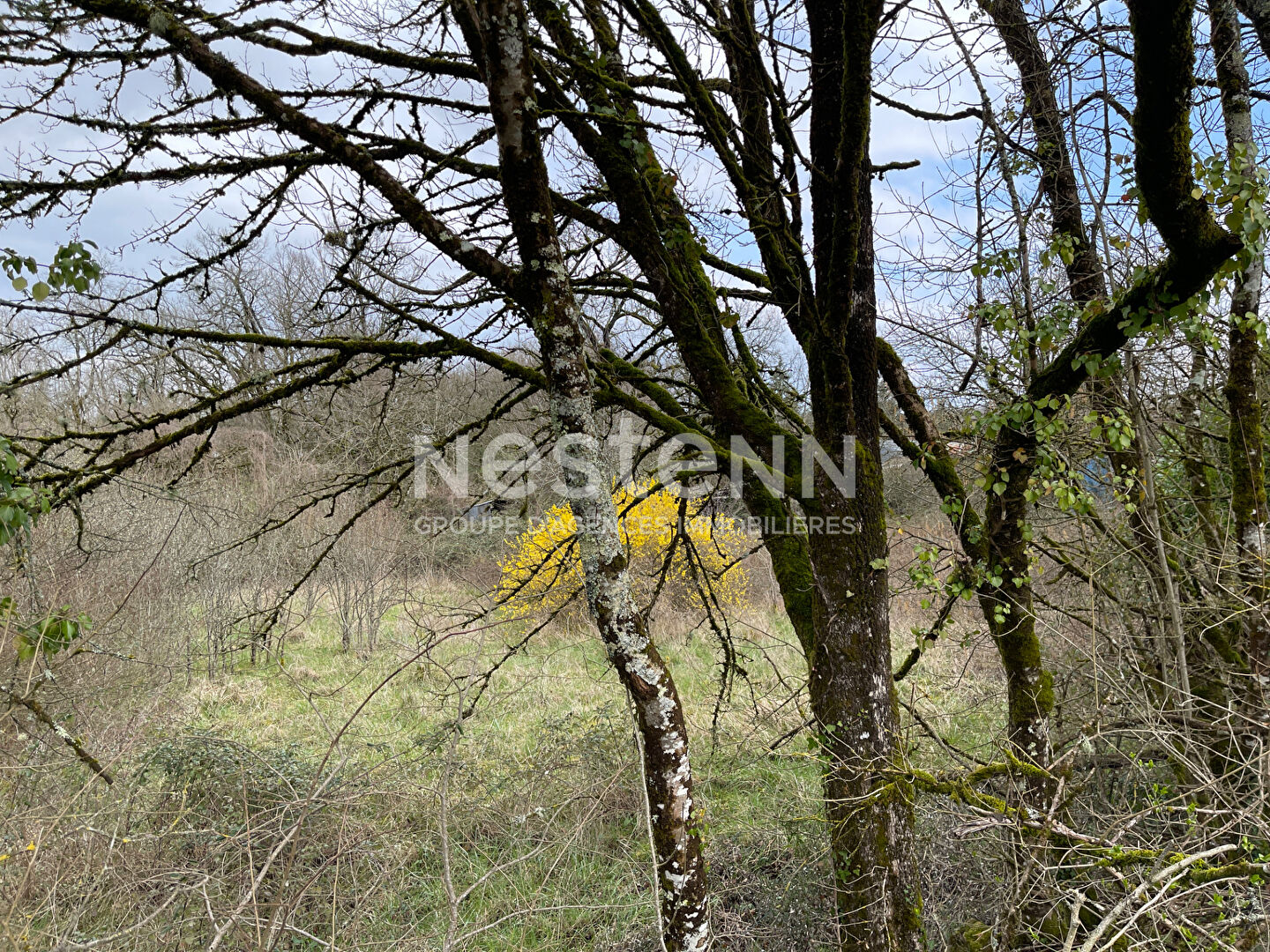 Maison en pierres du XVII siécle dans petit hameau proche Sorges