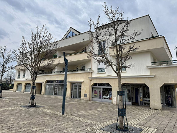 Vente appartement à Brie comte robert (77170)