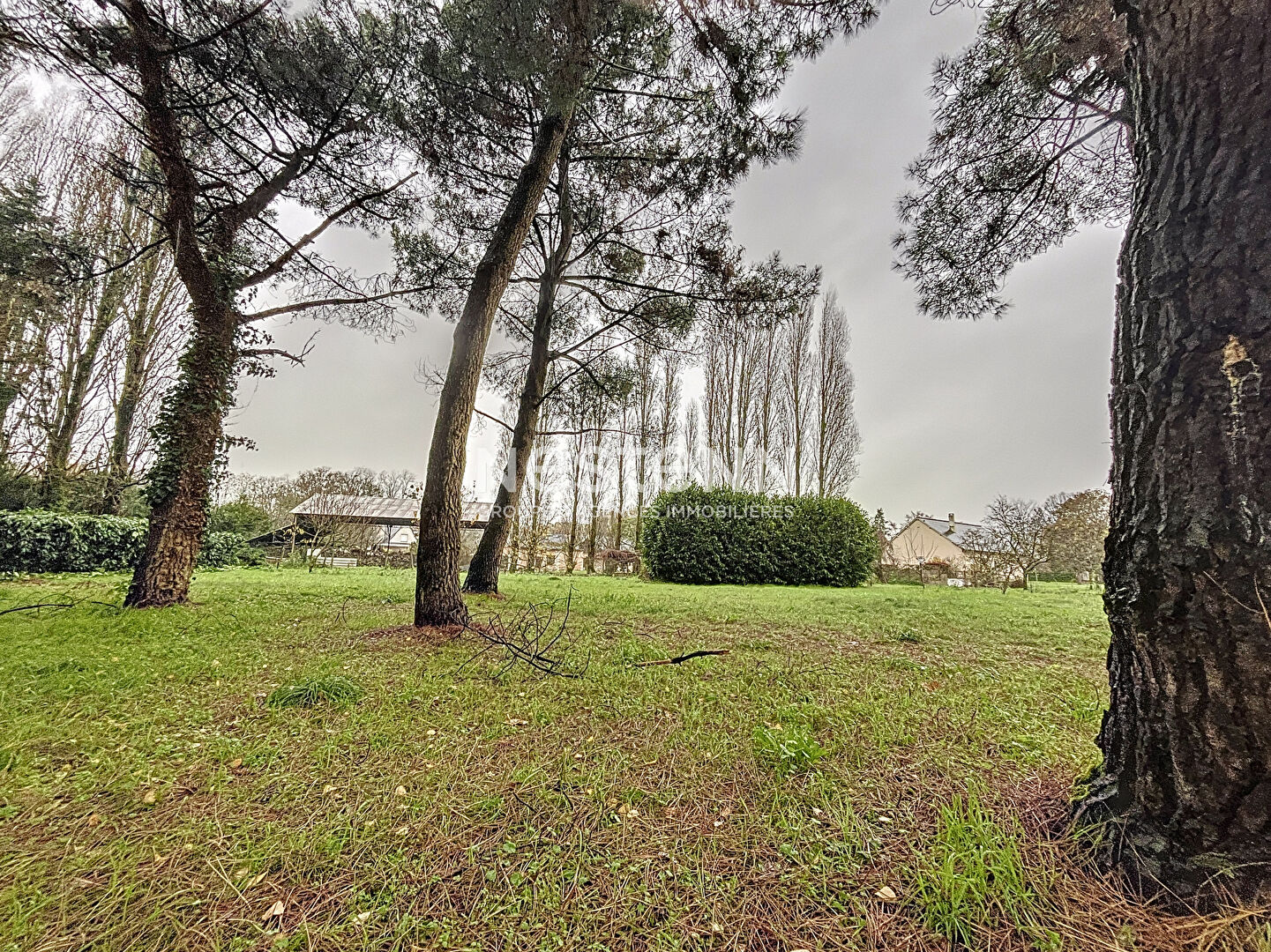 À Vendre - Maison traditionnelle de 162 m² avec trois chambres et bureau sur terrain de 3770 m², à Rives-du-Loir-en-Anjou, Proche d'Angers