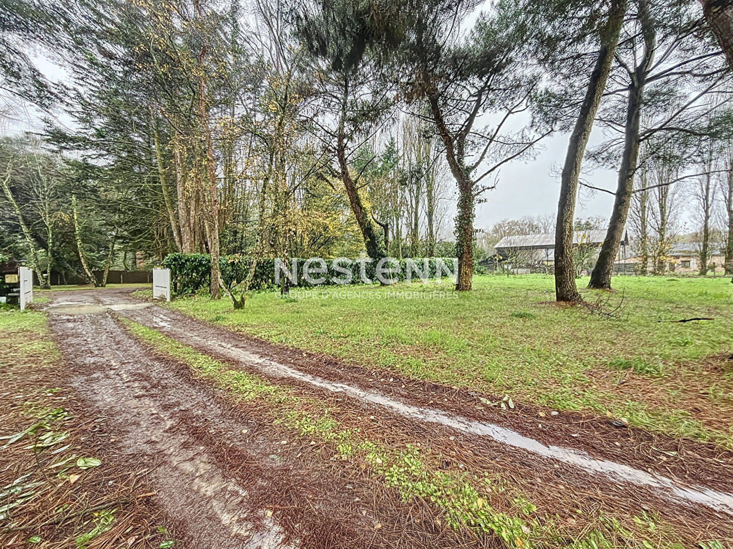 À Vendre - Maison traditionnelle de 162 m² avec trois chambres et bureau sur terrain de 3770 m², à Rives-du-Loir-en-Anjou, Proche d'Angers