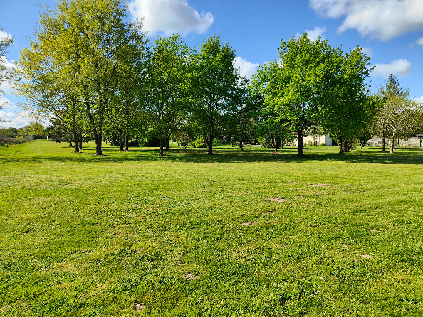 Maison familiale sur plus de 1,6 hectare avec piscine ? Verrières-en-Anjou (49) Cadre verdoyant ? Grand terrain ? À 15 min d'Angers