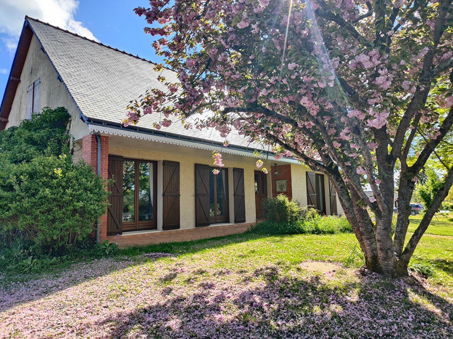 Maison familiale sur plus de 1,6 hectare avec piscine ? Verrières-en-Anjou (49) Cadre verdoyant ? Grand terrain ? À 15 min d'Angers