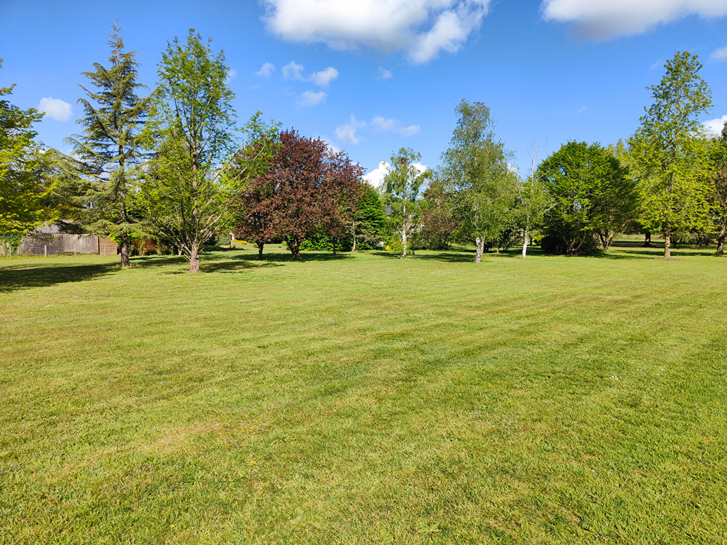 Maison familiale sur plus de 1,6 hectare avec piscine ? Verrières-en-Anjou (49) Cadre verdoyant ? Grand terrain ? À 15 min d'Angers