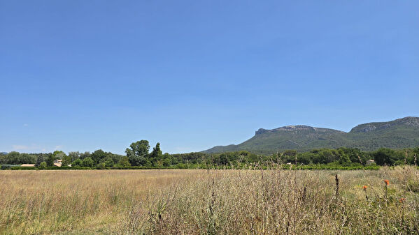 Vente terrain à Nans les pins (83860)