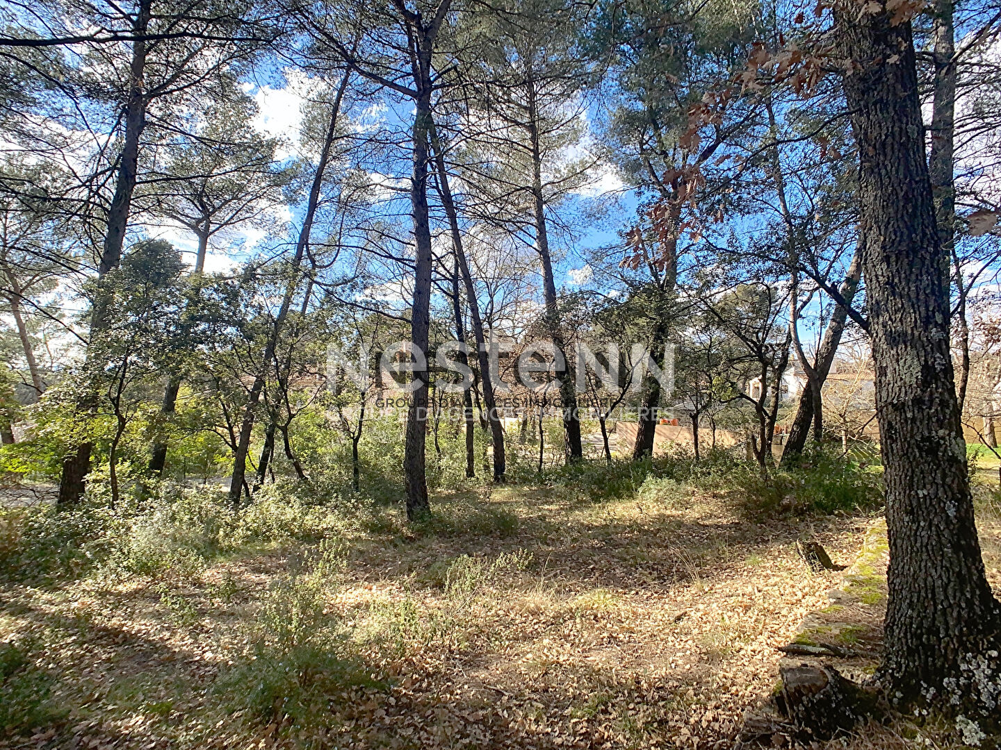 Terrain constructible de 1 595 m² au calme absolu à Pourrières