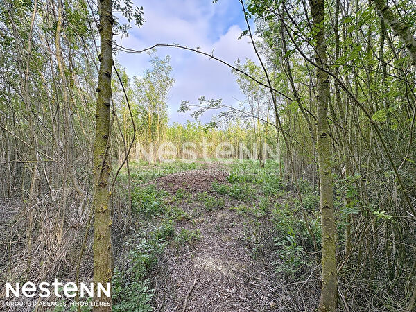 Vente par agence immobiliere à Armissan (11110)