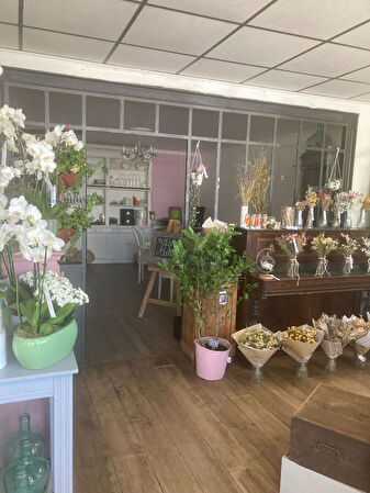 Location local-professionnel à Vannes (56000)