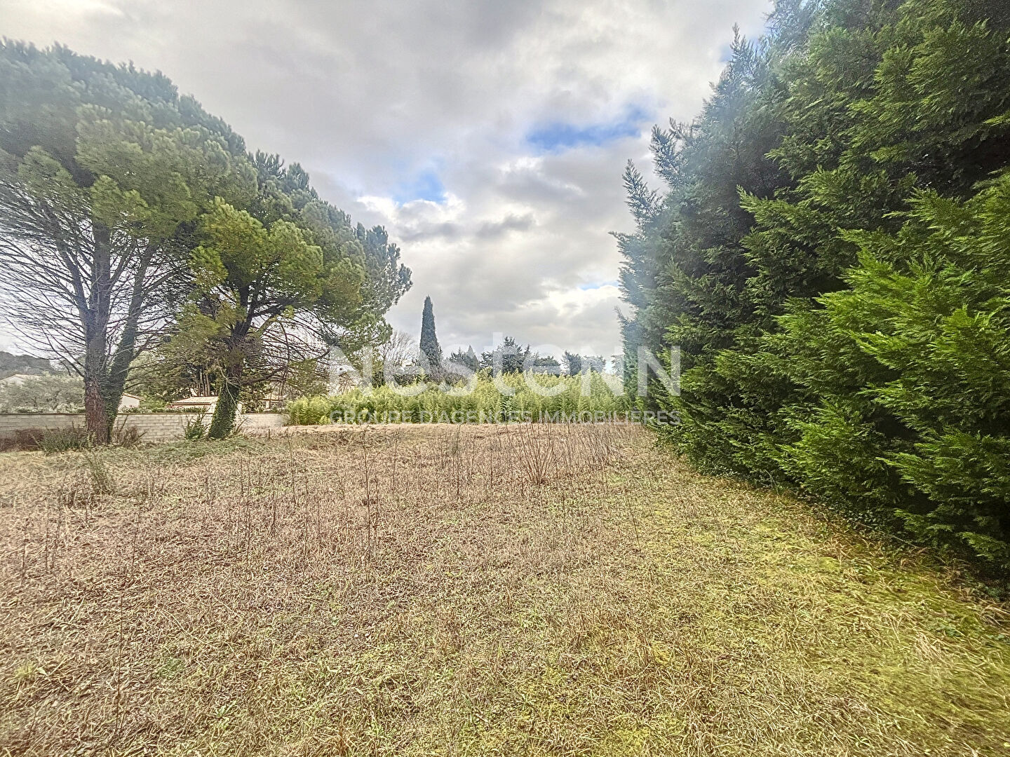 Terrain Saint Remy De Provence 1534m²