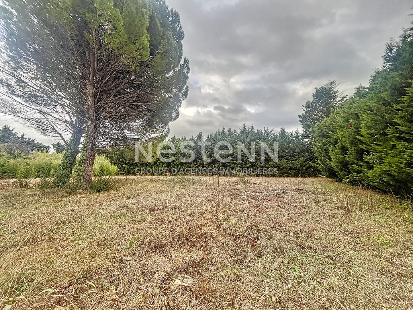 Terrain Saint Remy De Provence 1534m²
