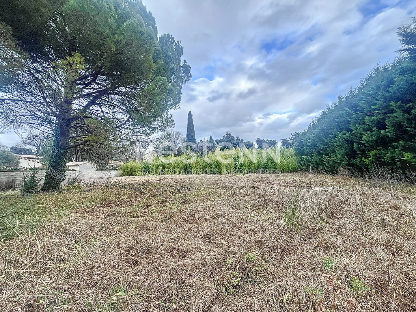 Terrain Saint Remy De Provence 1534m²