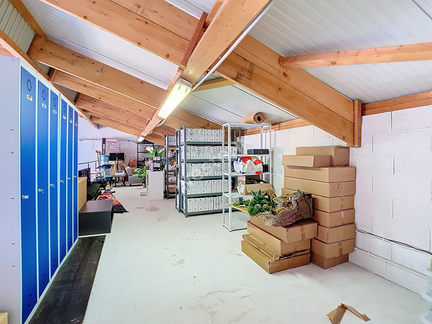 À Vendre : Local d'Activités / Entrepôt de 315m² à Saint-Lys (31)
