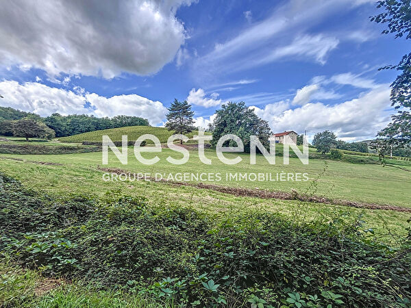 Vente terrain à Romaneche thorins (71570)