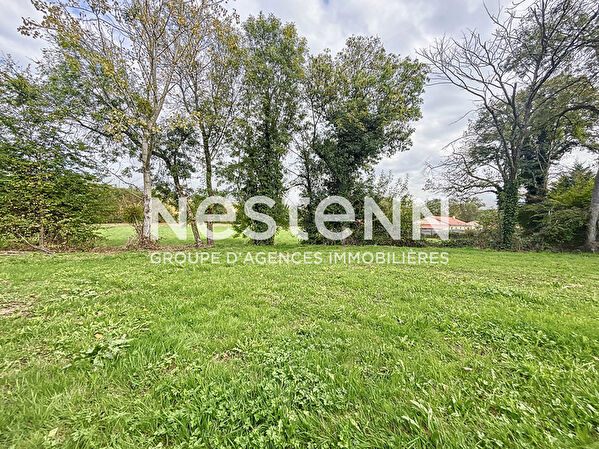 Vente terrain à Romaneche thorins (71570)