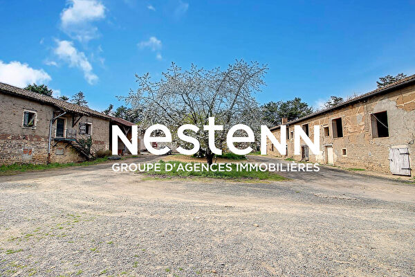 Vente par agence immobiliere à Thoissey (01140)