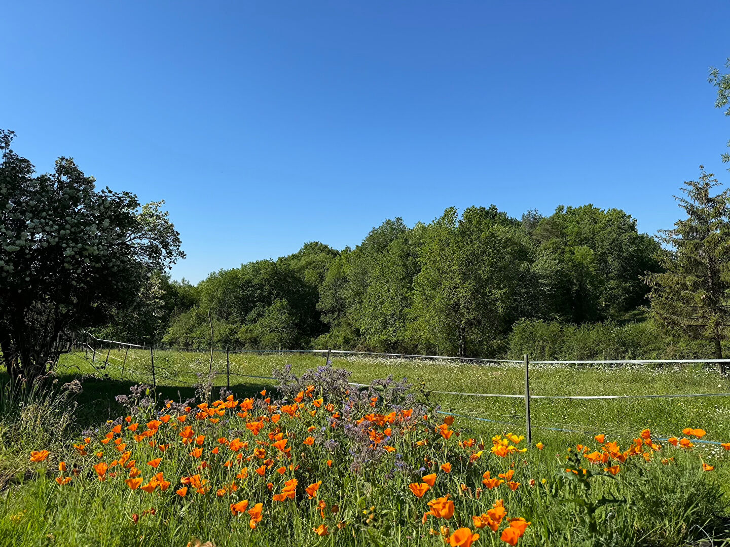 Évasion Champêtre : Domaine d'Exception à 15 Minutes de Bergerac !