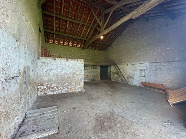 Location local-professionnel à Pont du casse (47480)