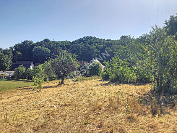 Vente terrain à Vierzon (18100)
