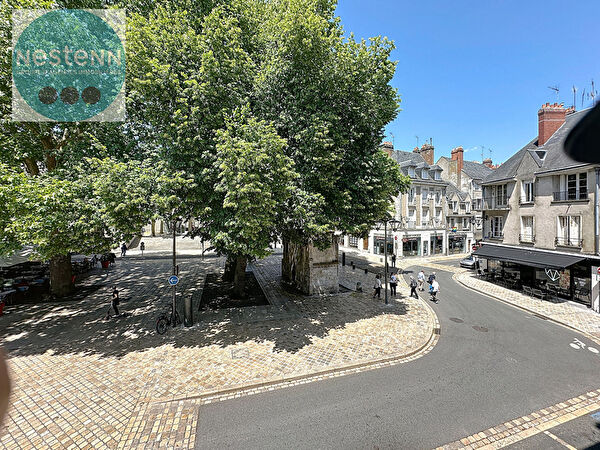 Location local-professionnel à Blois (41000)