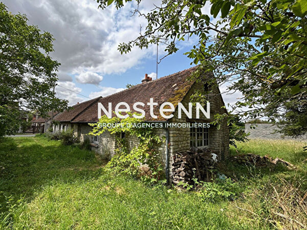 Vente maison longere à Orleans (45000)