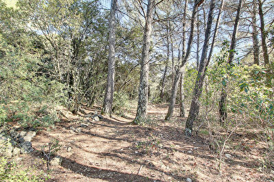 Vente terrain à Tourtour (83690)