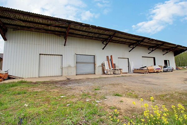 Vente local-professionnel à Vernon (27200)