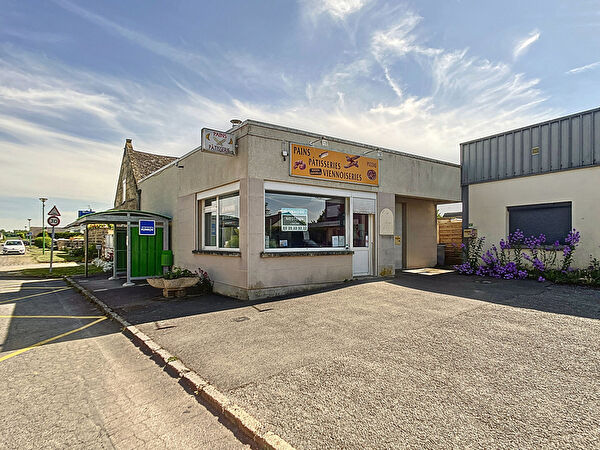 Vente local-professionnel à Trois puits (51500)