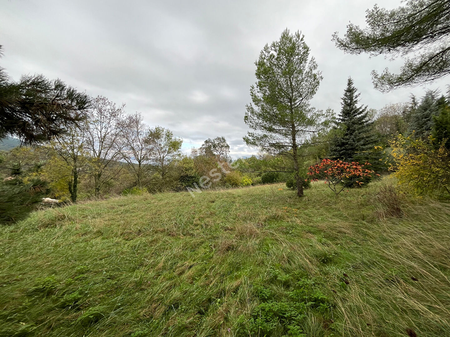 TERRAIN CONSTRUCTIBLE DE 1210 M²