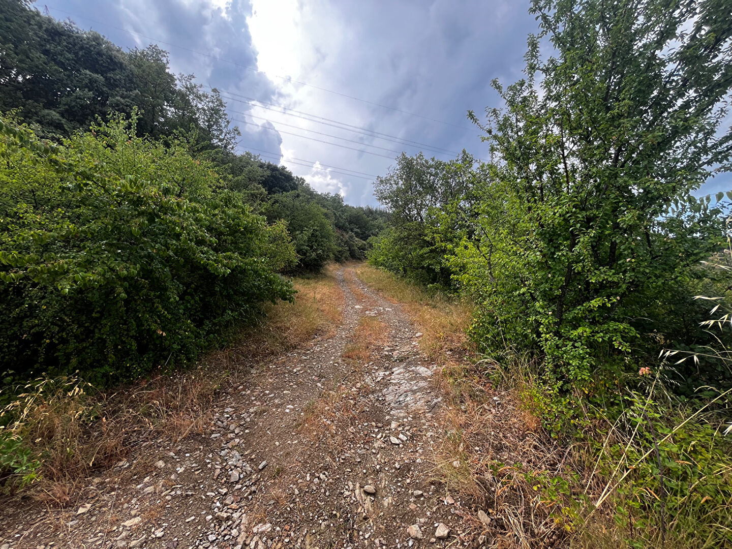 La voulte Parcelle boisée de 23593m²