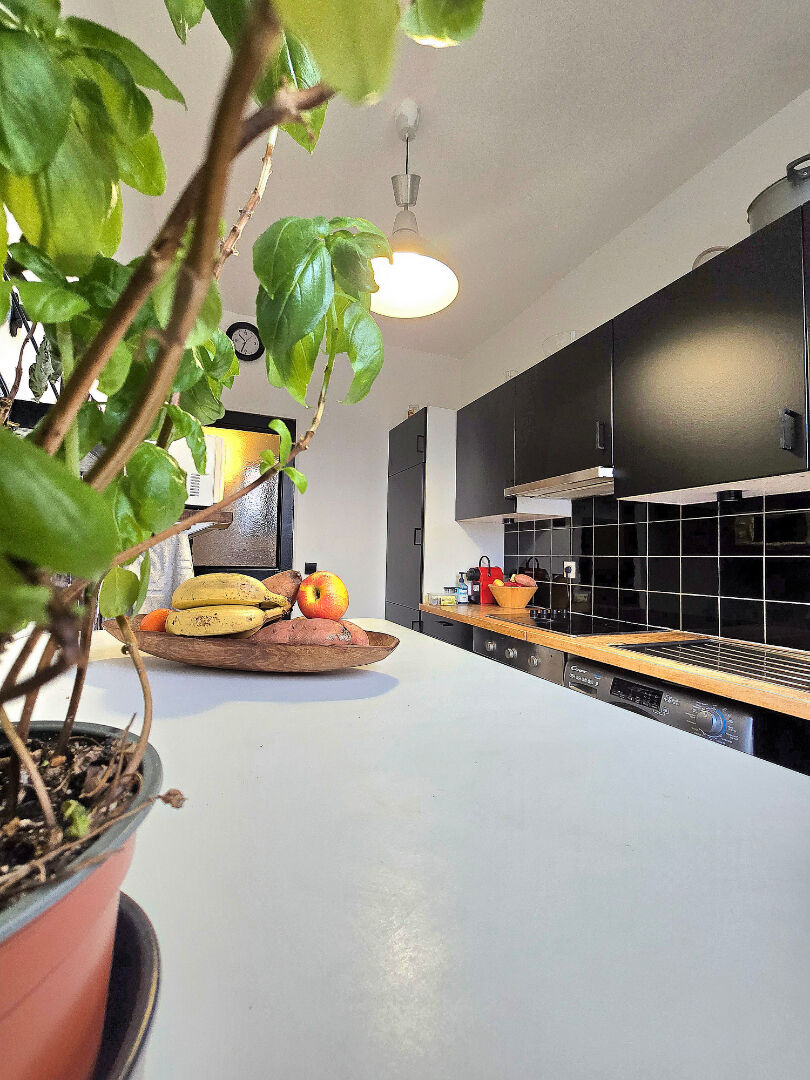 Nestenn Centre ville de Rosny Sous Bois Appartement 3 pièce(s) environ 55m²