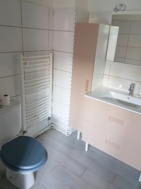 Appartement 31400 Toulouse St agne - St Michel, appartement de 31.4 m2 meublé avec une cave