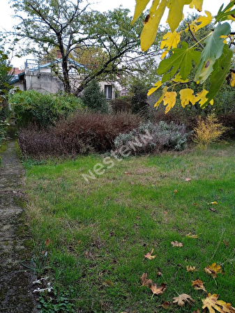 Vente maison à Toulouse (31400)