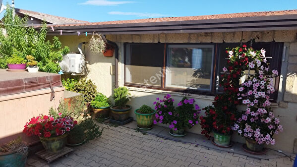 Vente maison cheminée à Barbaggio (20253)