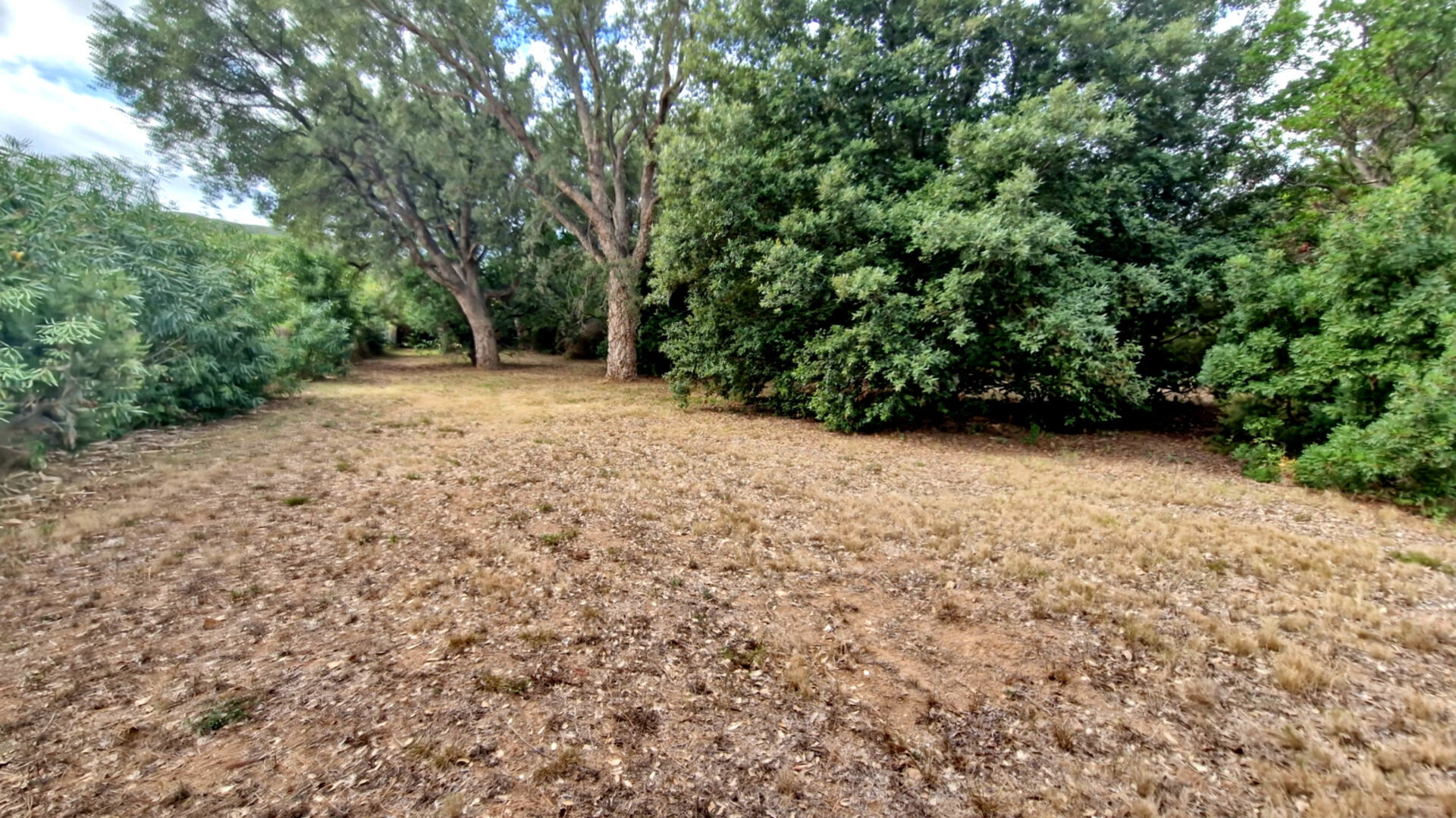 Terrain Pietracorbara 1011 m2