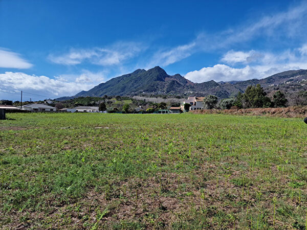 Vente terrain à Barchetta (20290)
