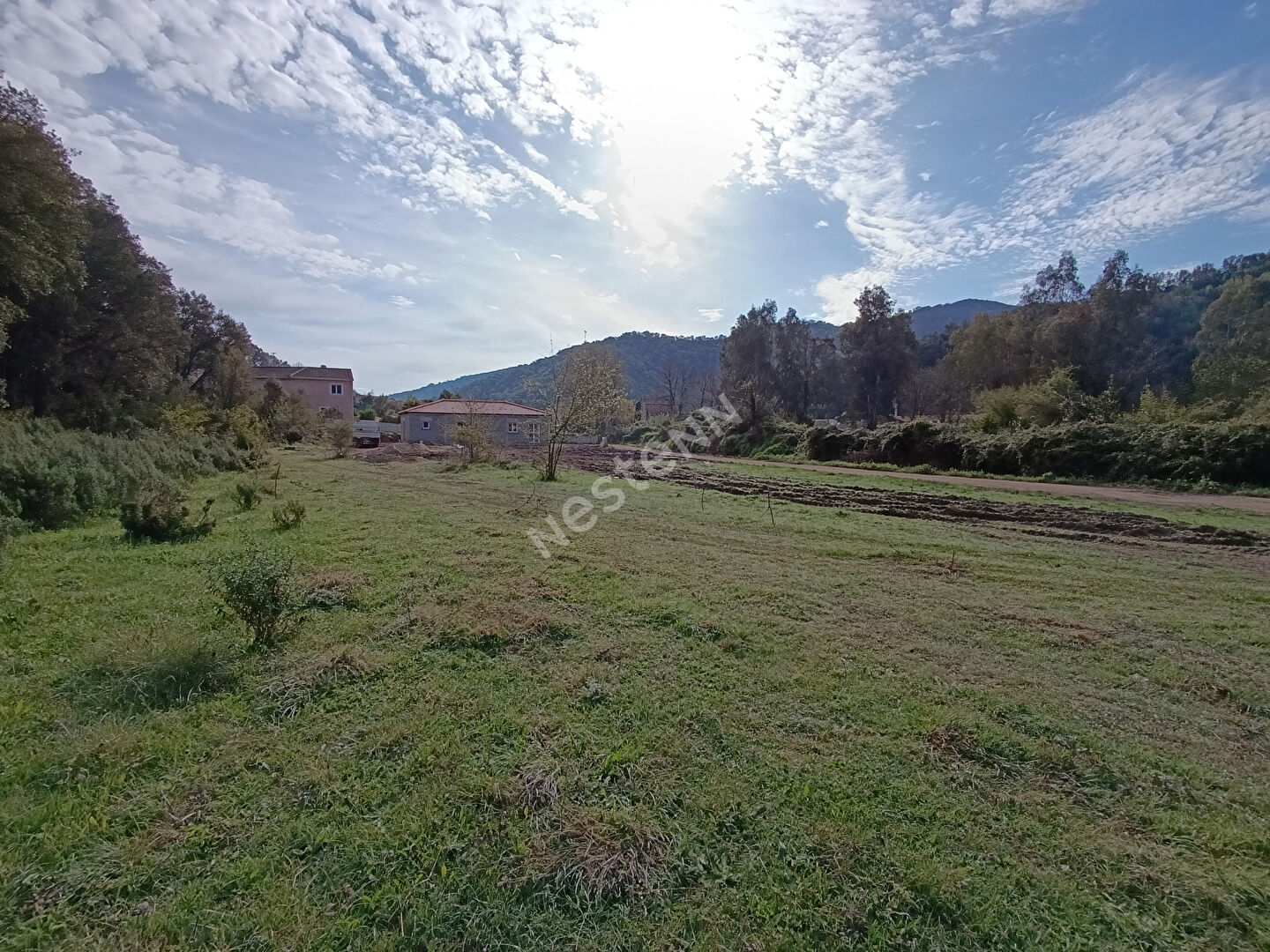 Opportunité Exceptionnelle : 3 Terrains à Bâtir - Secteur Calme et Privilégié 20290 BARCHETTA