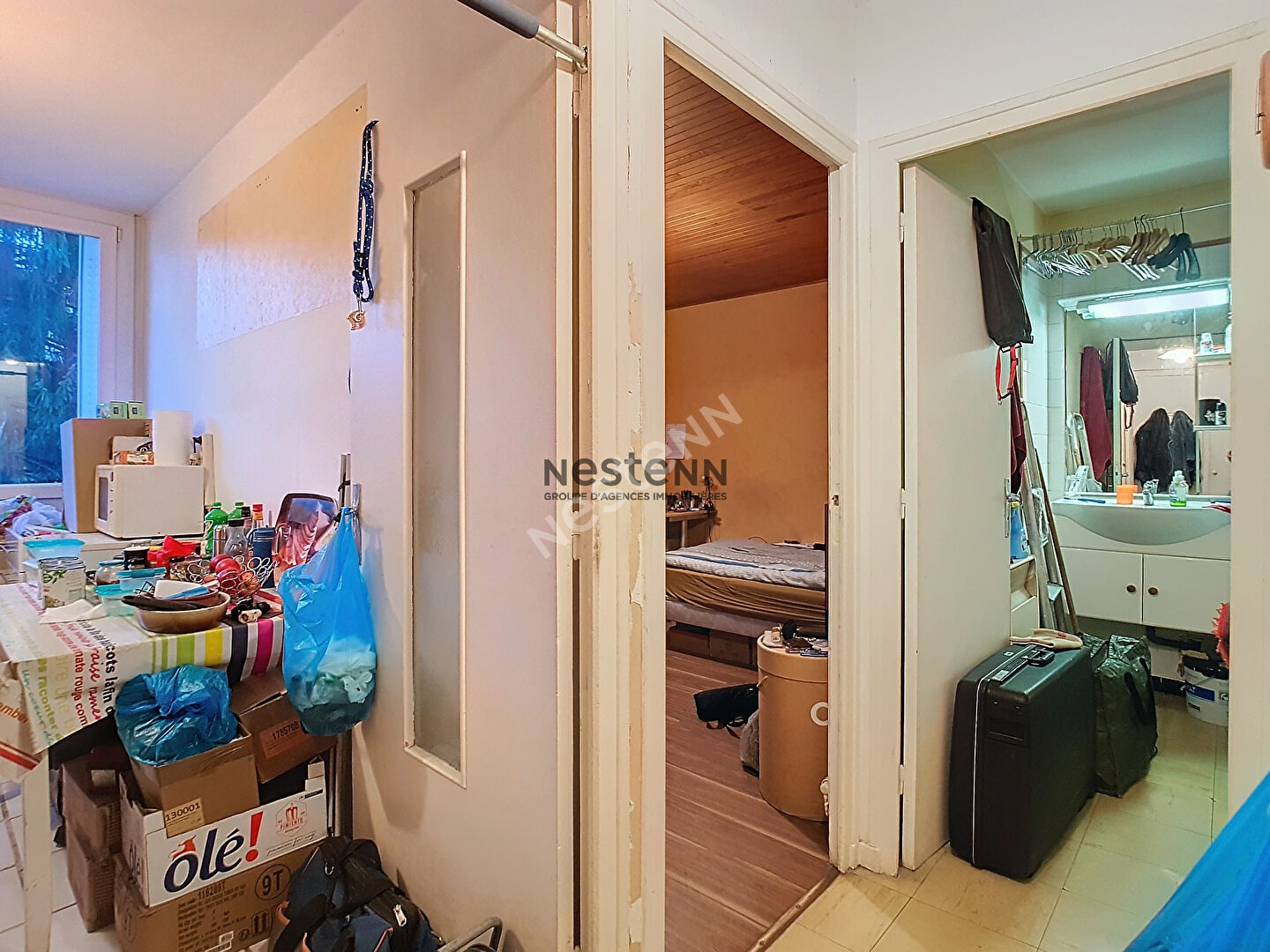 Appartement Saint Martin D'Hères T1 pièce avec vue sur parc et place de parking privative.