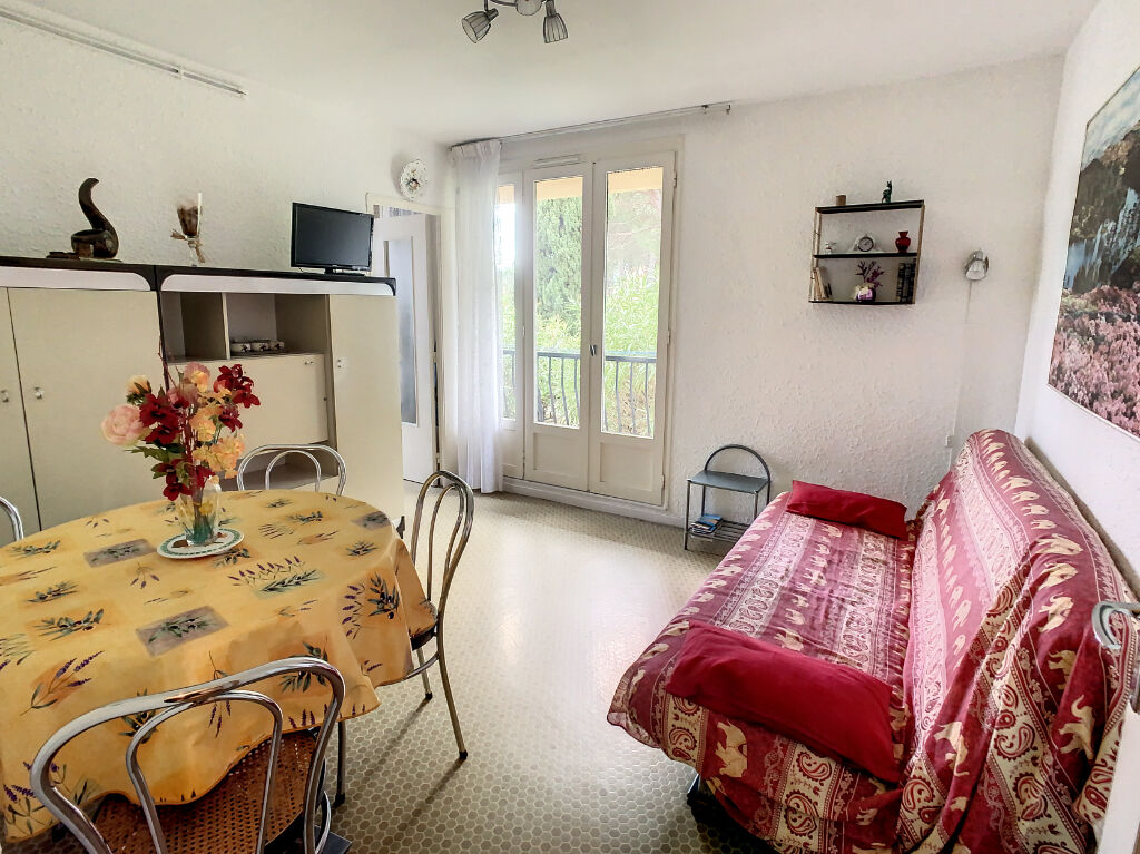 A vendre appartement T2 de 31m² à Argelès-Sur-Mer , à 100m de la plage