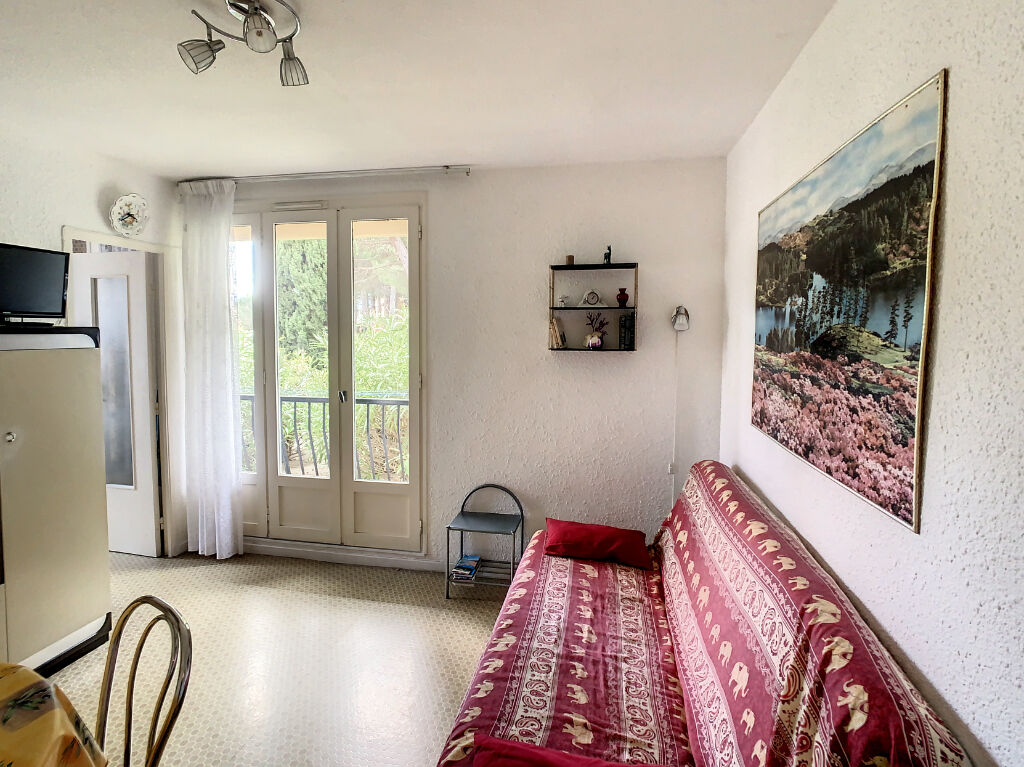 A vendre appartement T2 de 31m² à Argelès-Sur-Mer , à 100m de la plage