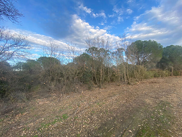 Vente terrain à Saint laurent de la salanque (66250)