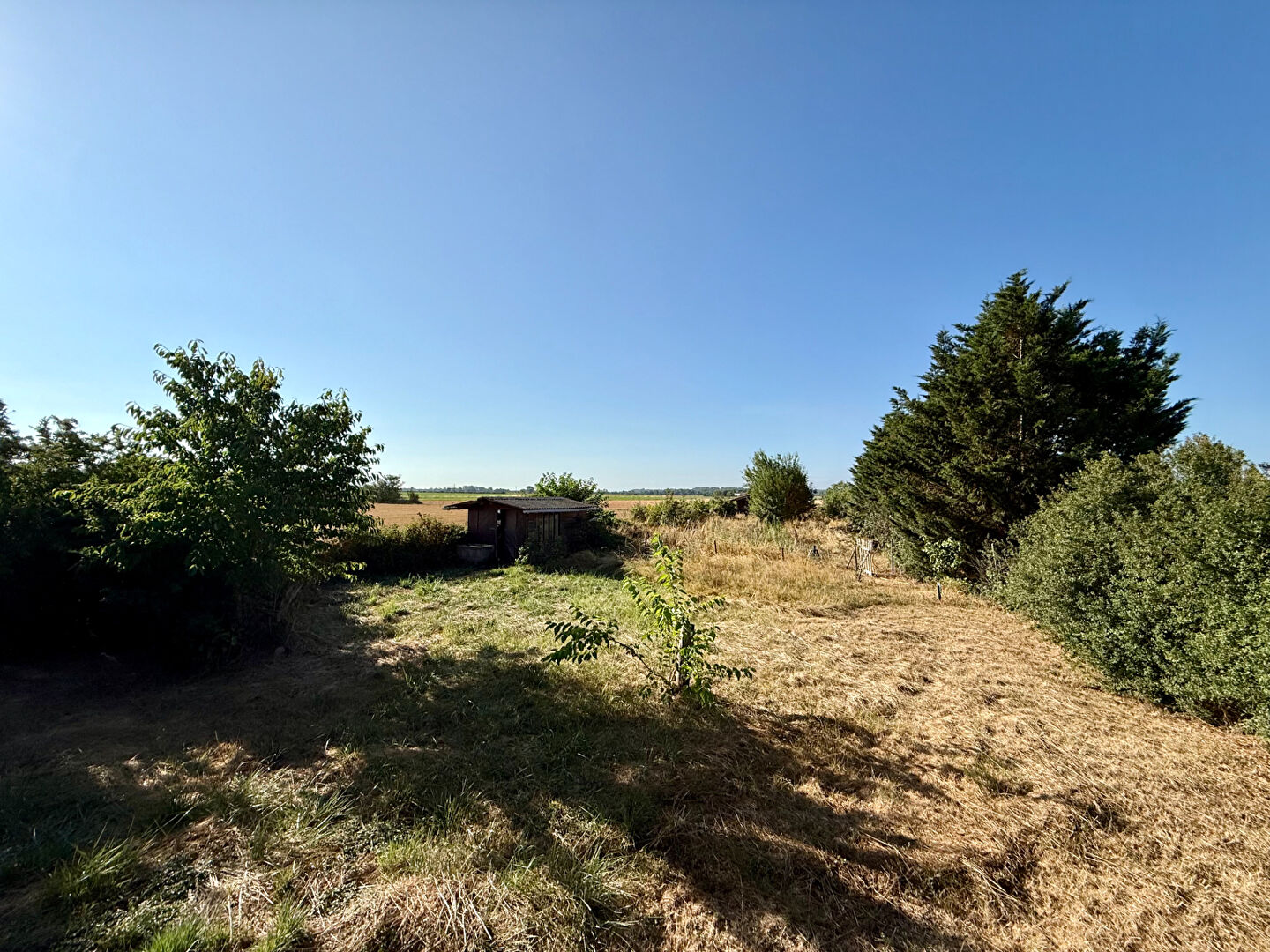 SAVERDUN : MAISON AVEC VUE PYRENNES ET APPARTEMENT INDEPENDANT EN CAMPAGNE