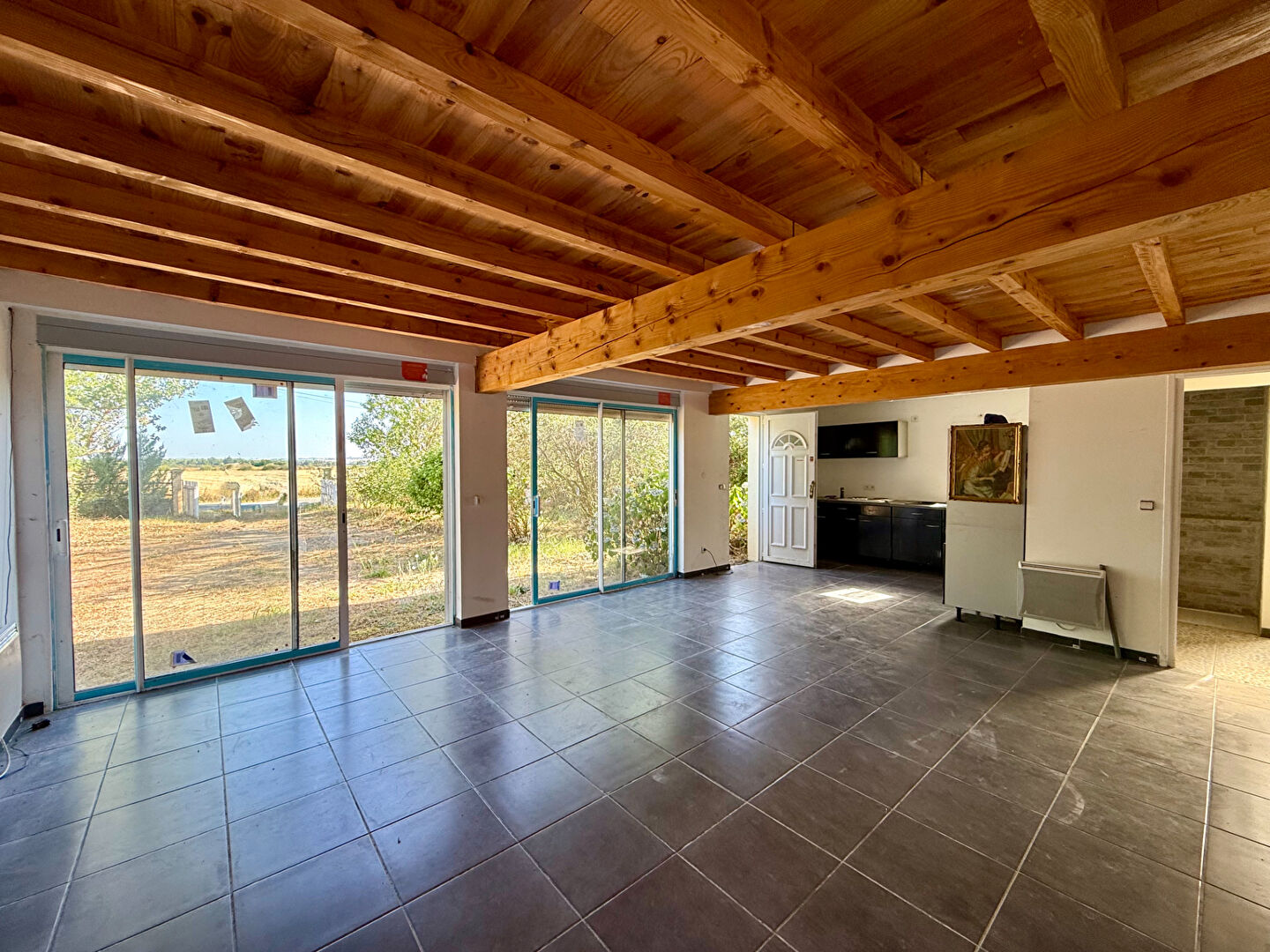 SAVERDUN : MAISON AVEC VUE PYRENNES ET APPARTEMENT INDEPENDANT EN CAMPAGNE