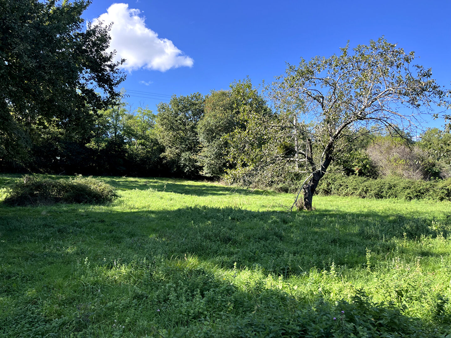 SAINT AMADOU : TERRAIN CONSTRUCTIBLE DE 5 044M2 ARBORE A LA CAMPAGNE