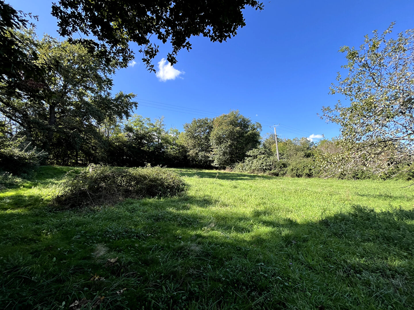 SAINT AMADOU : TERRAIN CONSTRUCTIBLE DE 5 044M2 ARBORE A LA CAMPAGNE