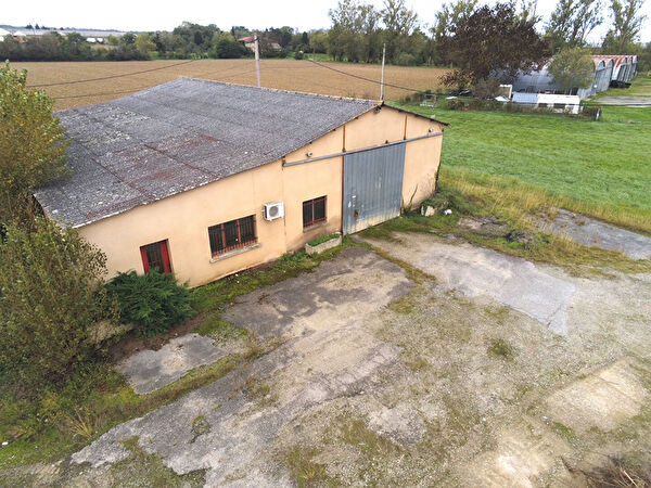 Vente local-professionnel à Pechbusque (31320)