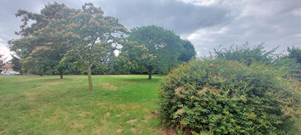 Vente maison à Unzent (09100)