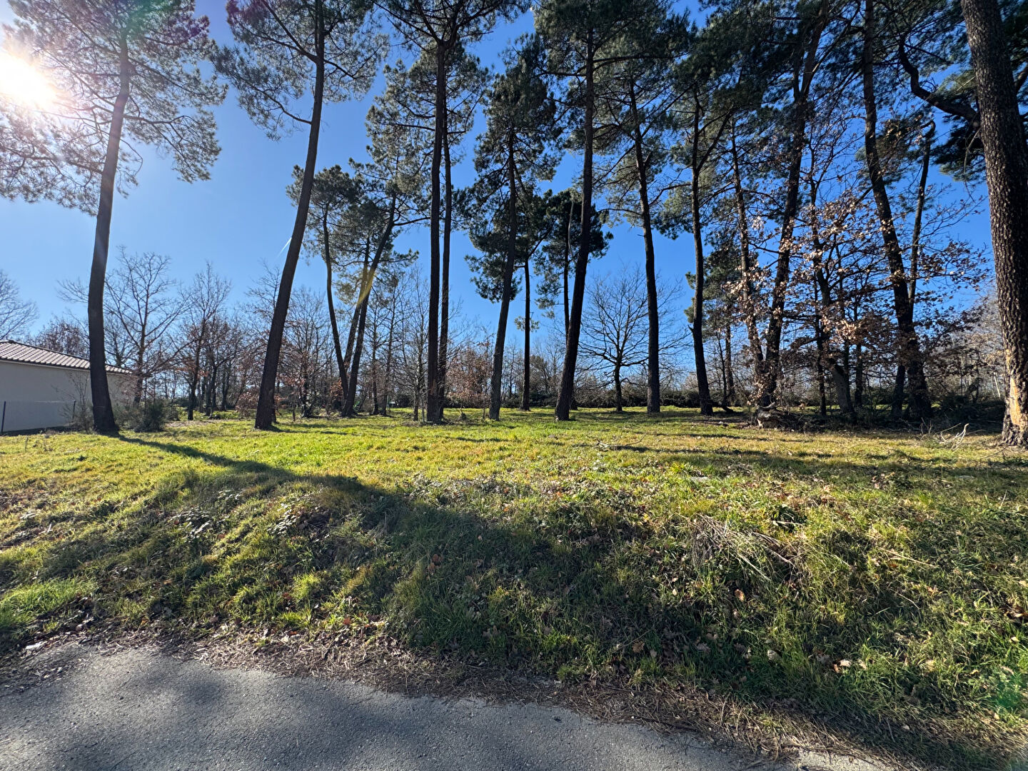 A VENDRE PROCHE AUTERIVE: TERRAIN DE 973 M2 VIABILISE, LIBRE DE TOUS CONSTRUCTEURS
